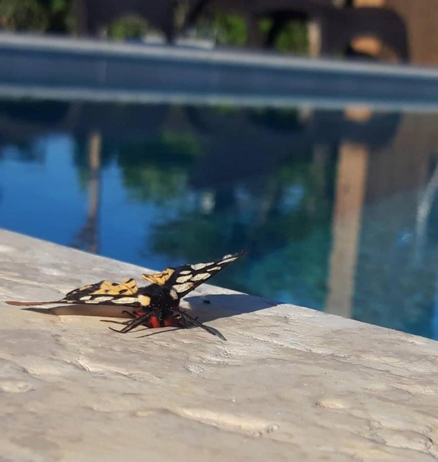 Sea Breeze Villa Tsilivi  Buitenkant foto
